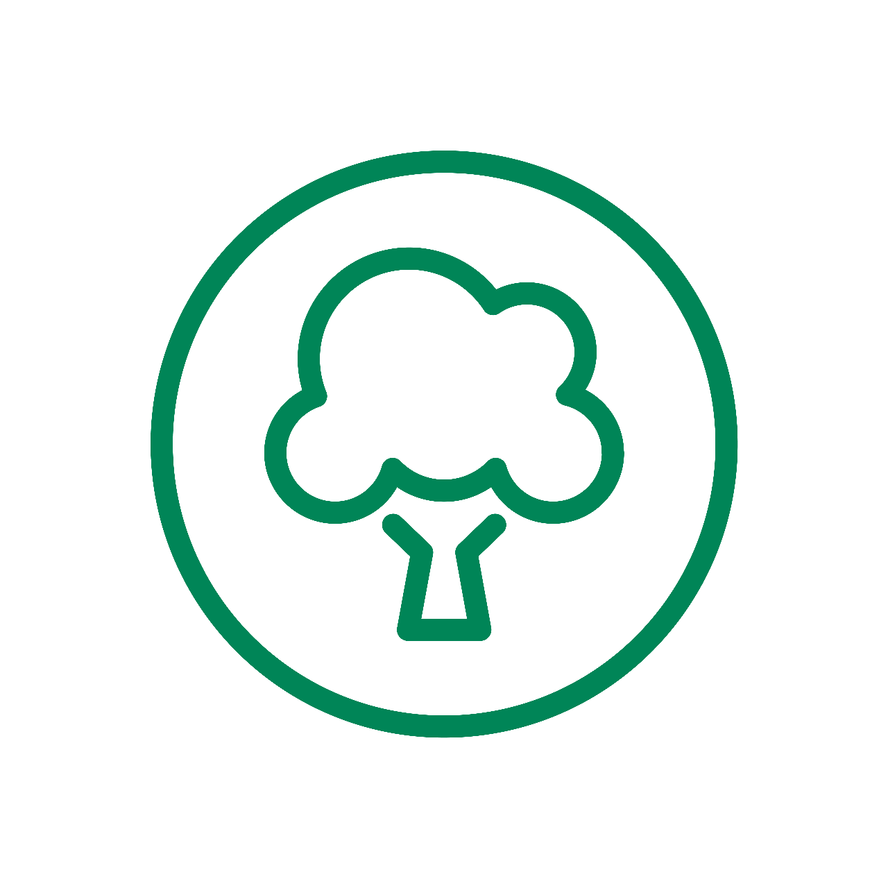 Využíváme 100% elektřinu z obnovitelných zdrojů*