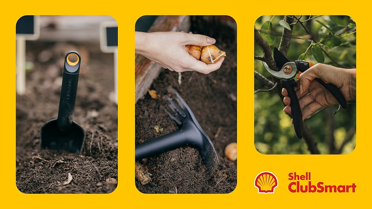 Získejte produkty Fiskars za body Shell ClubSmart